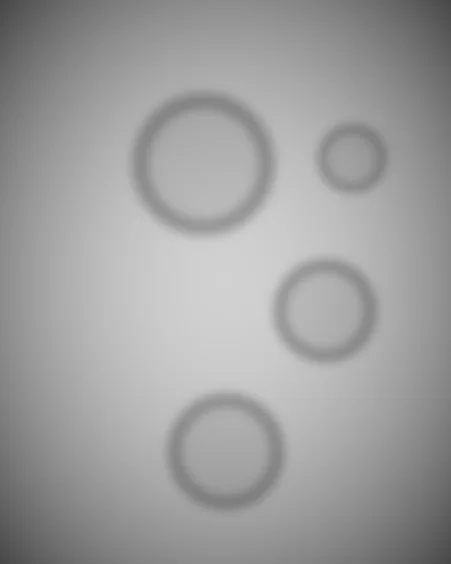 The flat frame: an evenly lit blank field carrying exactly the same darkened corners and the same four rings.