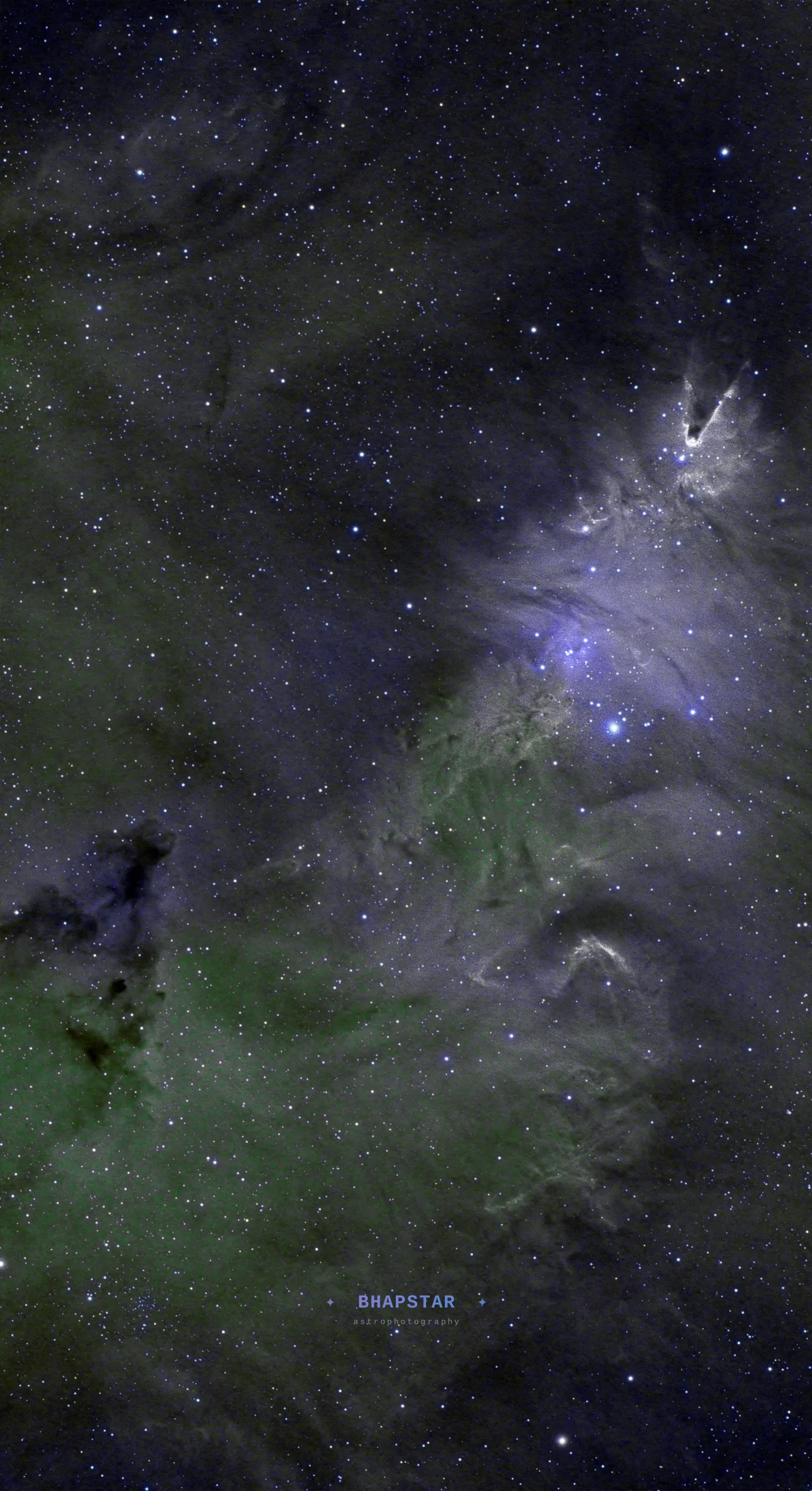Christmas Tree Nebula NGC 2264 Cone Nebula astrophotography